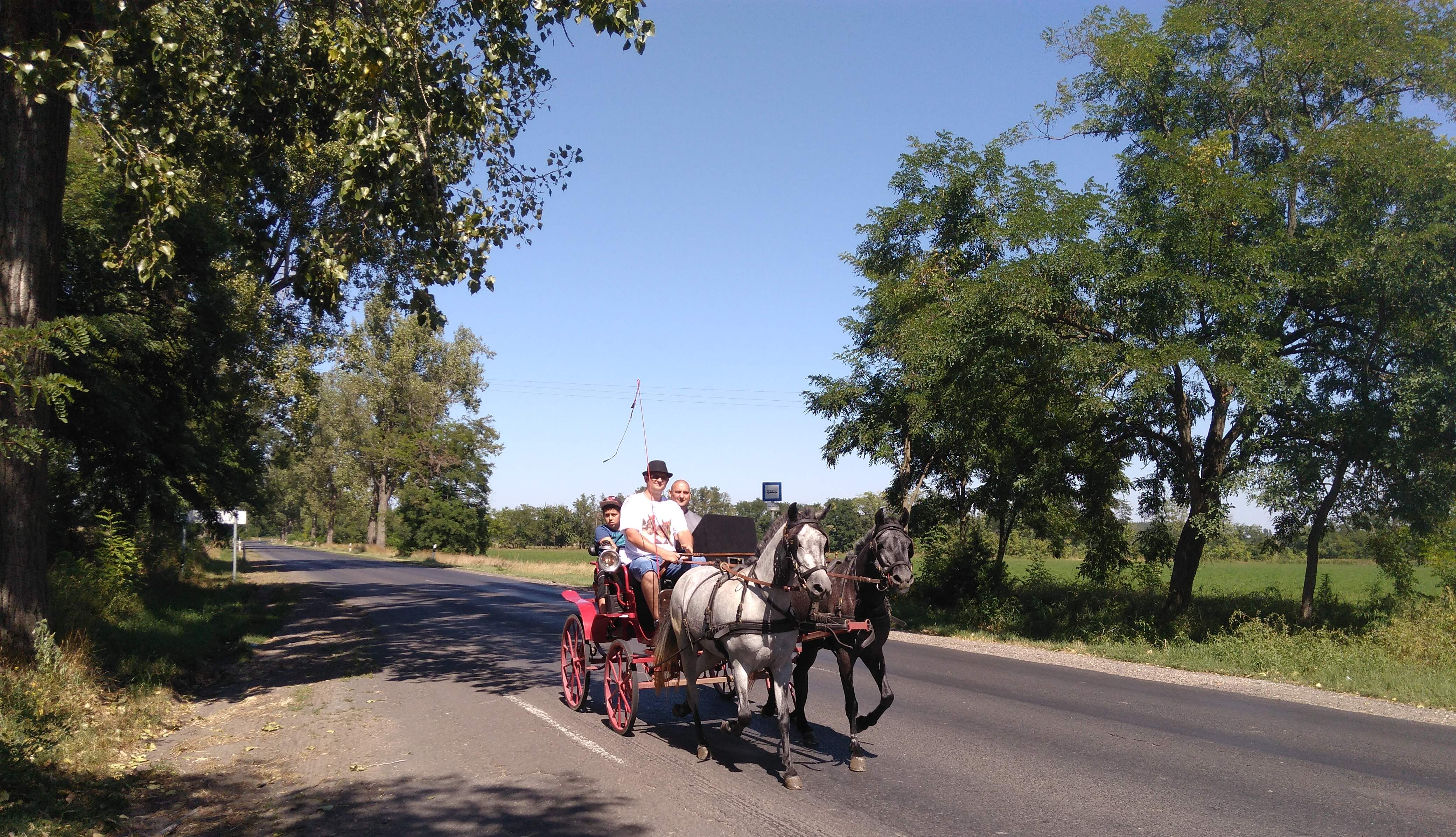 Paard & wagen